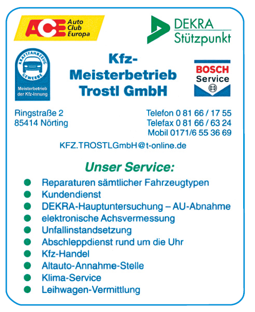 Trostl GmbH, Autoservice - Übersicht Dienstleistungen